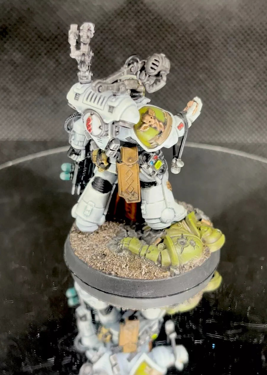 Warhammer 40,000 Space Marine Primaris Apothecary Painted (1) Miniature Raptors