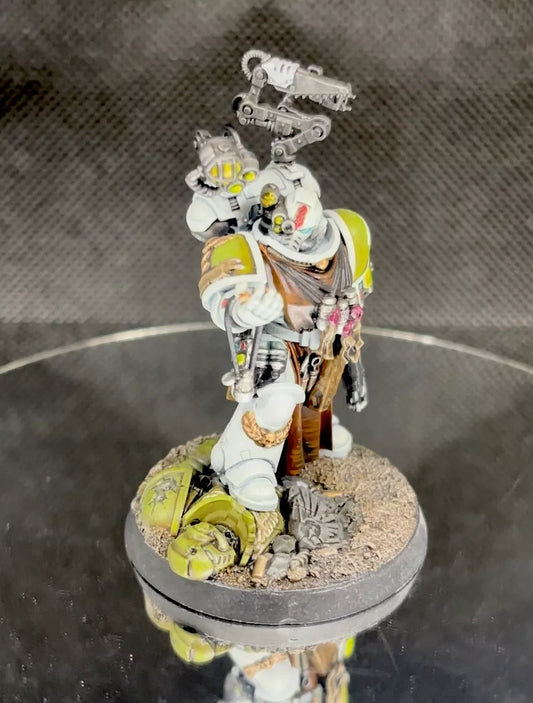 Warhammer 40,000 Space Marine Primaris Apothecary Painted (1) Miniature Raptors