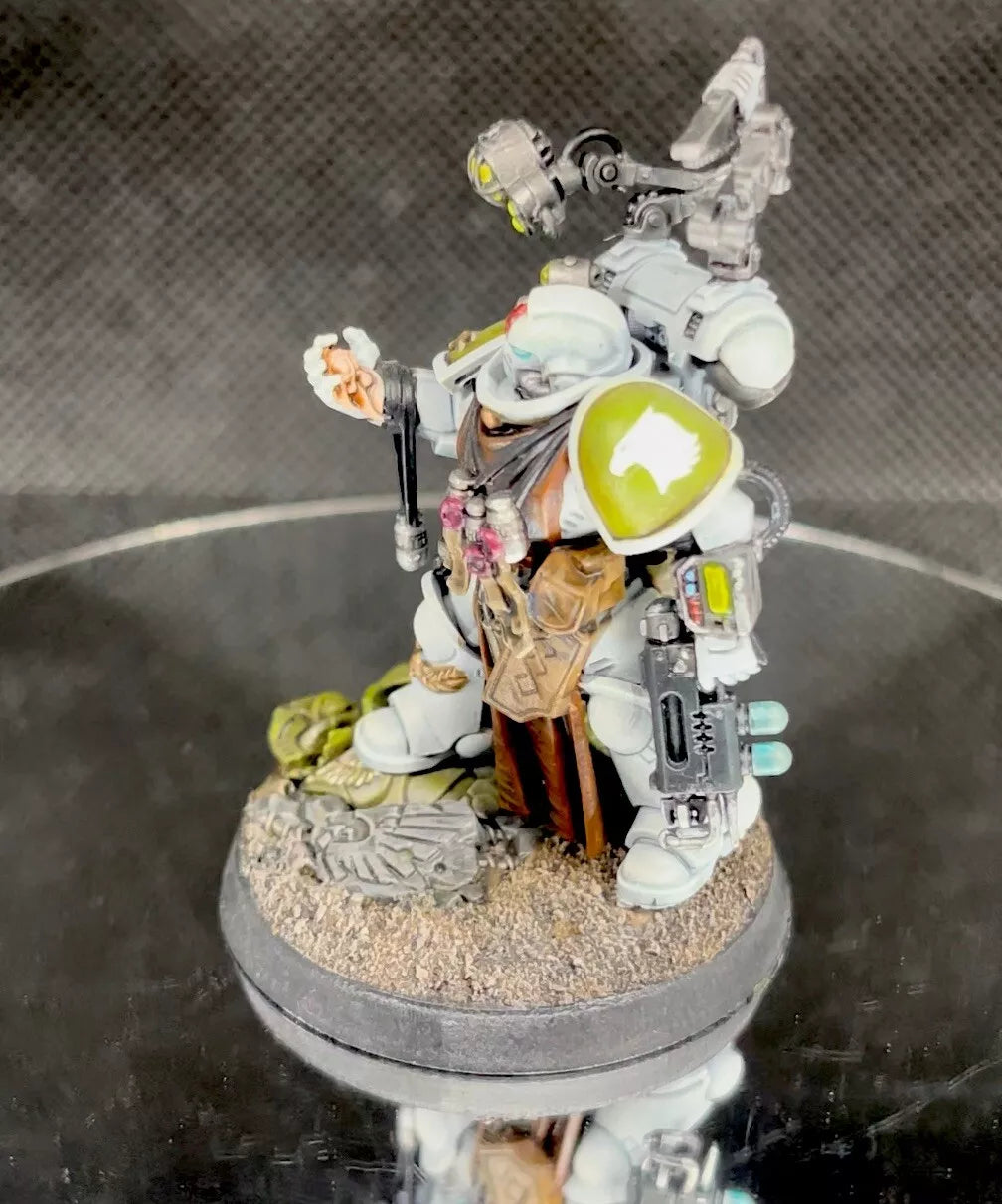 Warhammer 40,000 Space Marine Primaris Apothecary Painted (1) Miniature Raptors